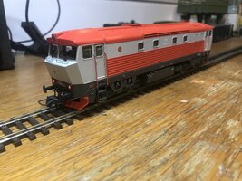 IMG_1179.jpg