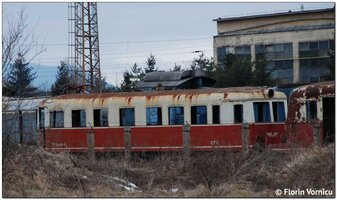 DSC_5677a.jpg