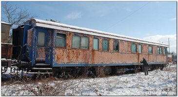 DSC_4649a.jpg