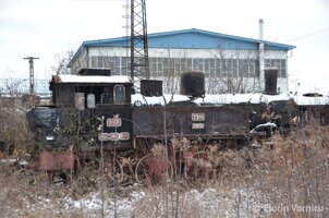 DSC_1477.jpg