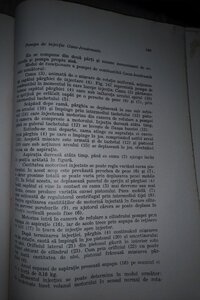 IMG_20200506_0129040.jpg