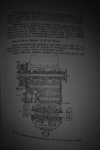 IMG_20200506_0135243.jpg