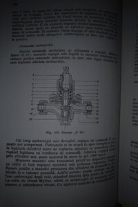 IMG_20200506_0138104.jpg