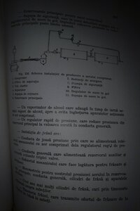 IMG_20200506_0139138.jpg
