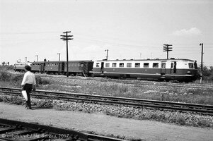 51290768_551700748676189_4828063936769163264_n (3).jpg