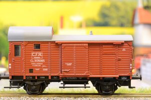 DSC_6980.JPG