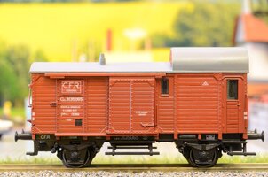 DSC_6981.JPG