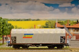 DSC_6974.JPG