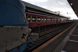 IMG_20200608_1940133.jpg