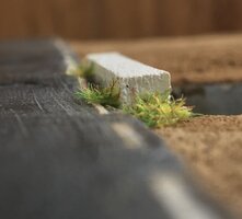 AB228A90-F639-43AB-85CD-E55D06ACB88F.jpeg