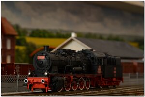 DSC_7409.jpg