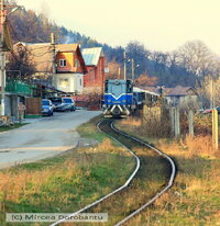 IMG_0305_DxO.jpg