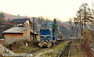 IMG_0340_DxO.jpg