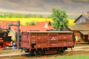 DSC_7515.JPG