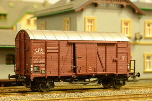 DSC_5531.JPG