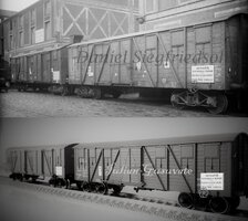 crucea rosie 2 h0.jpg