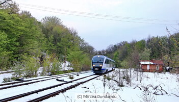 IMG_9733_DxO.jpg