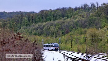 IMG_9737_DxO.jpg