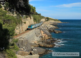 IMG_0002_DxO.jpg