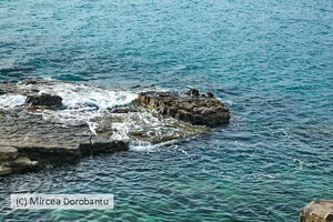 IMG_9736.JPG