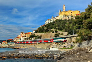 IMG_9743_DxO.jpg