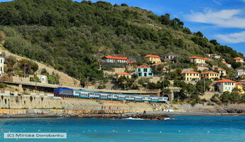 IMG_9883_DxO.jpg