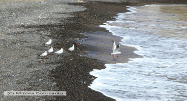 IMG_9890.JPG