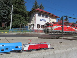 IMG_6243.JPG