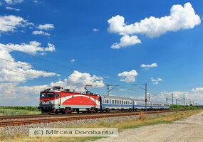IMG_8539_DxO.jpg