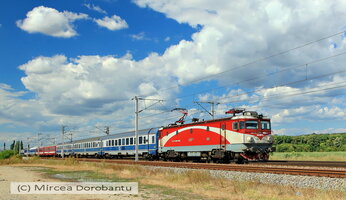 IMG_8558_DxO.jpg