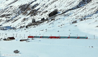 IMG_7875_DxO.jpg