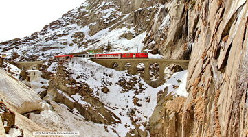 IMG_7798_DxO.jpg