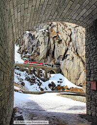 IMG_7813_DxO.jpg