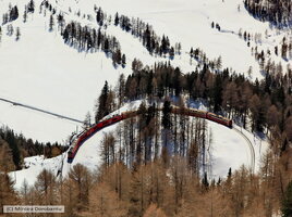 IMG_0495_DxO.jpg