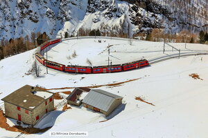 IMG_0589_DxO.jpg