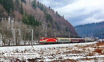 IMG_7760_DxO.jpg