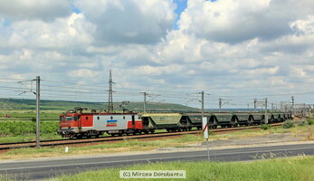 IMG_0682_DxO.jpg