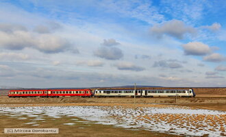 IMG_2638_DxO.jpg