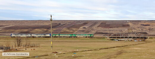 IMG_2667_DxO.jpg