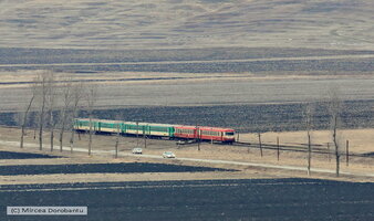IMG_2675_DxO.jpg