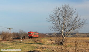 IMG_3011_DxO.jpg