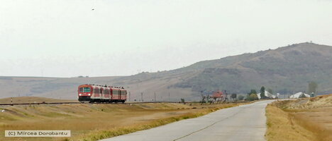 IMG_3329_DxO.jpg