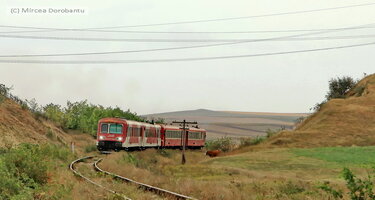 IMG_3360_DxO.jpg
