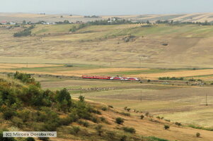IMG_3386_DxO.jpg