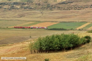 IMG_3394_DxO.jpg