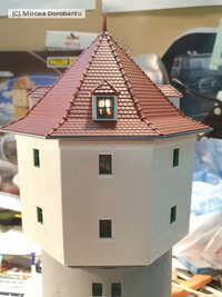 20201006_204819.jpg