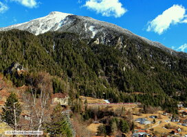 IMG_7350_DxO.jpg