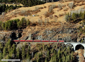 IMG_7393_DxO.jpg