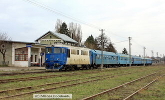 IMG_5878.jpg