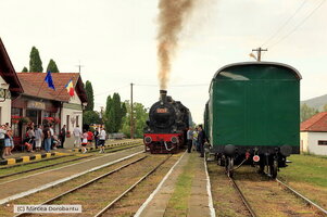 IMG_7278.jpg